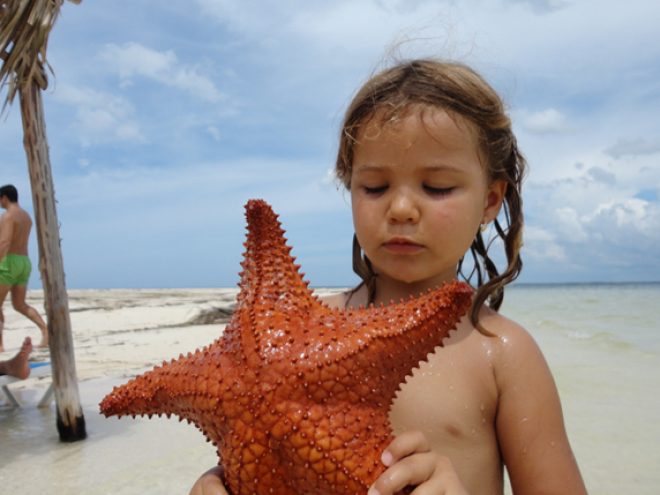 20 of the best Cuban films, 2006-2011