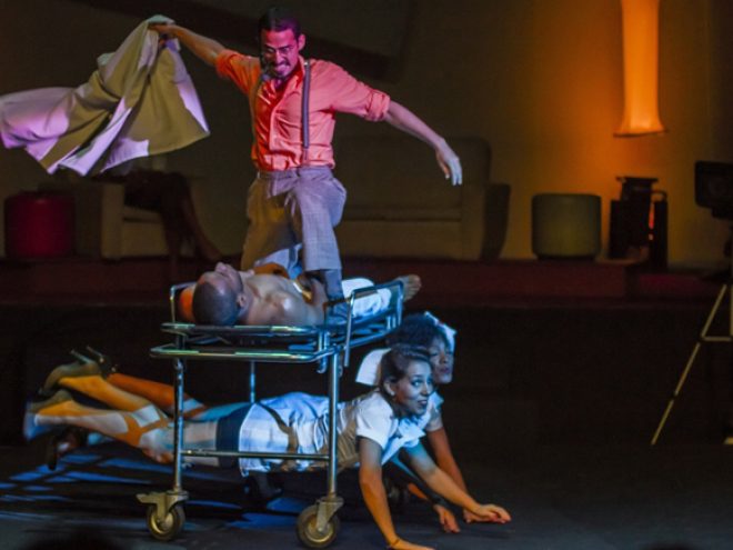 Goldfish: an ironic and irreverent look into reality