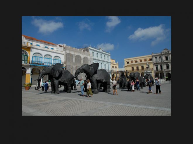 José Emelio—Elephants on the move