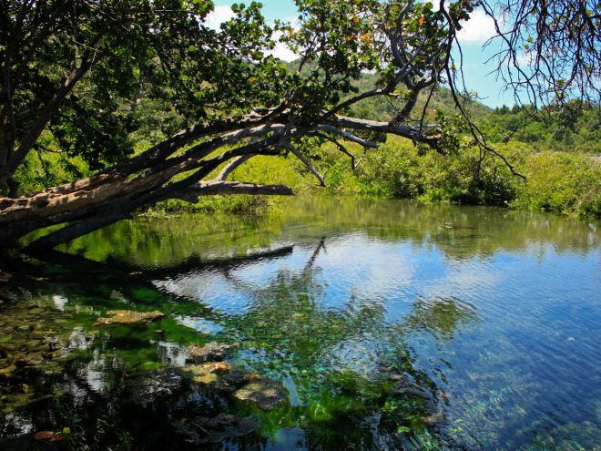 The Delightful Rivers of Cuba