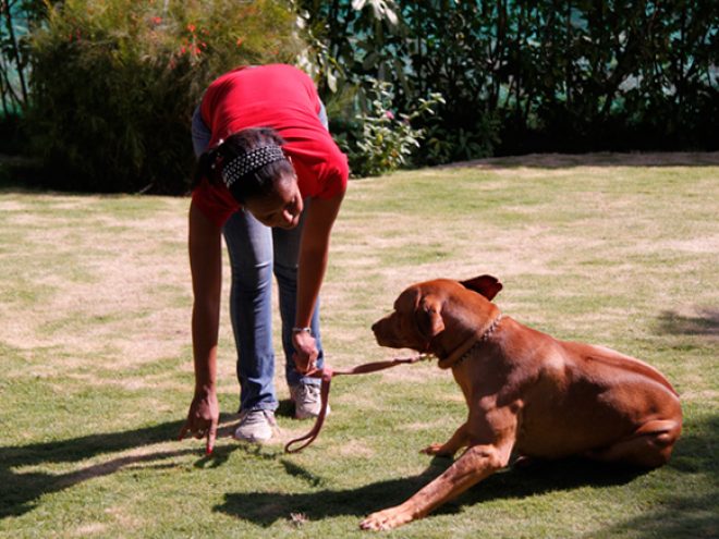 Yaneysis González: Havana’s dog whisperer