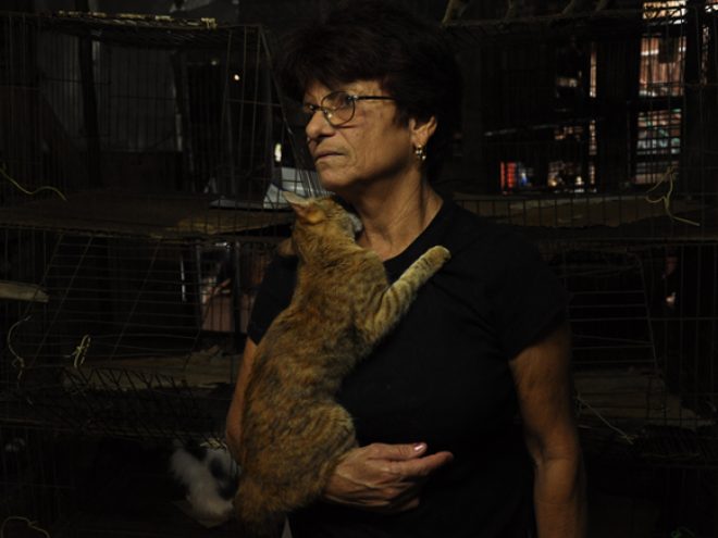 The Blue Cat Woman of Havana: Olga Fernández