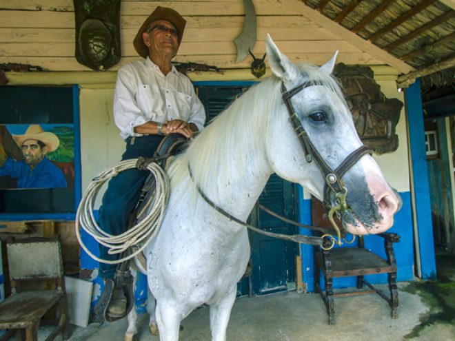 Miguel Ginarte ? Havana’s Horse Whisperer