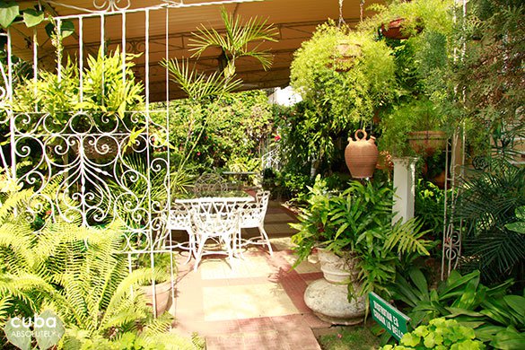 terrace with white tables and plants © Cuba Absolutely, 2014