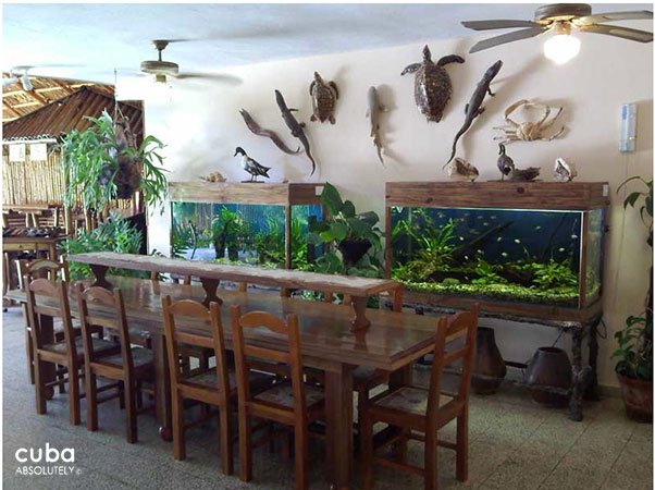 Restaurant, people eatng and having a drink © Cuba Absolutely, 2014
