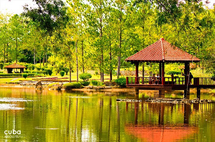 National Botanic garden, river © Cuba Absolutely, 2014