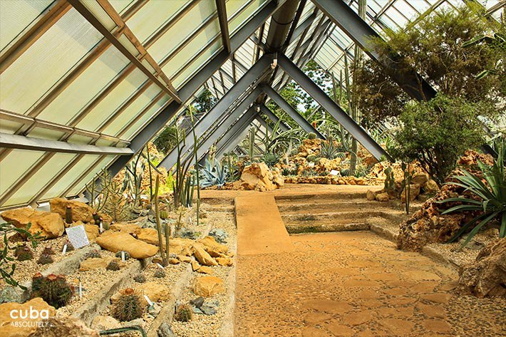 National Botanic garden, plants and water, all nature © Cuba Absolutely, 2014