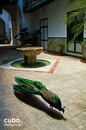 Arabian museum in old havana© Cuba Absolutely, 2014
